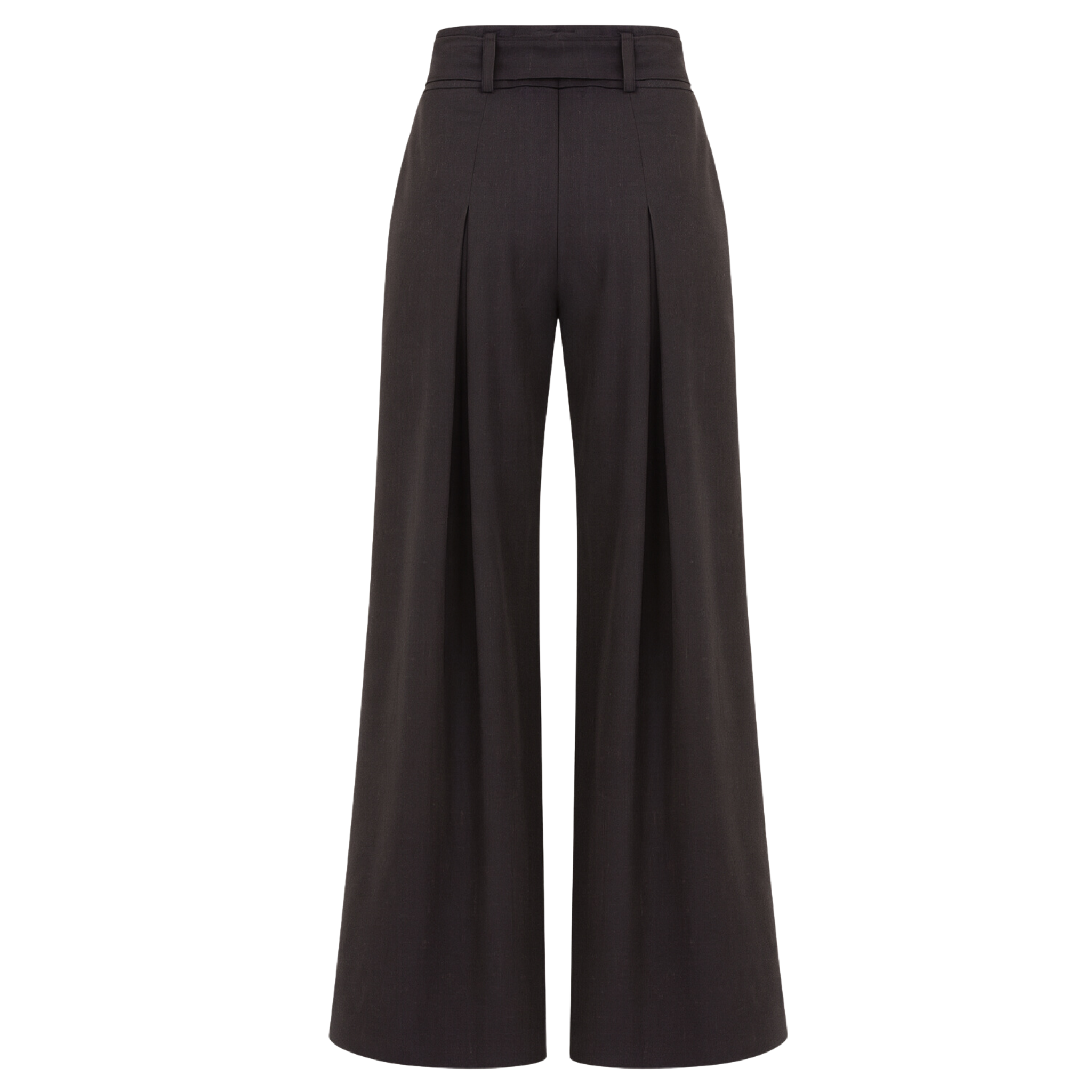 Pleated Trousers