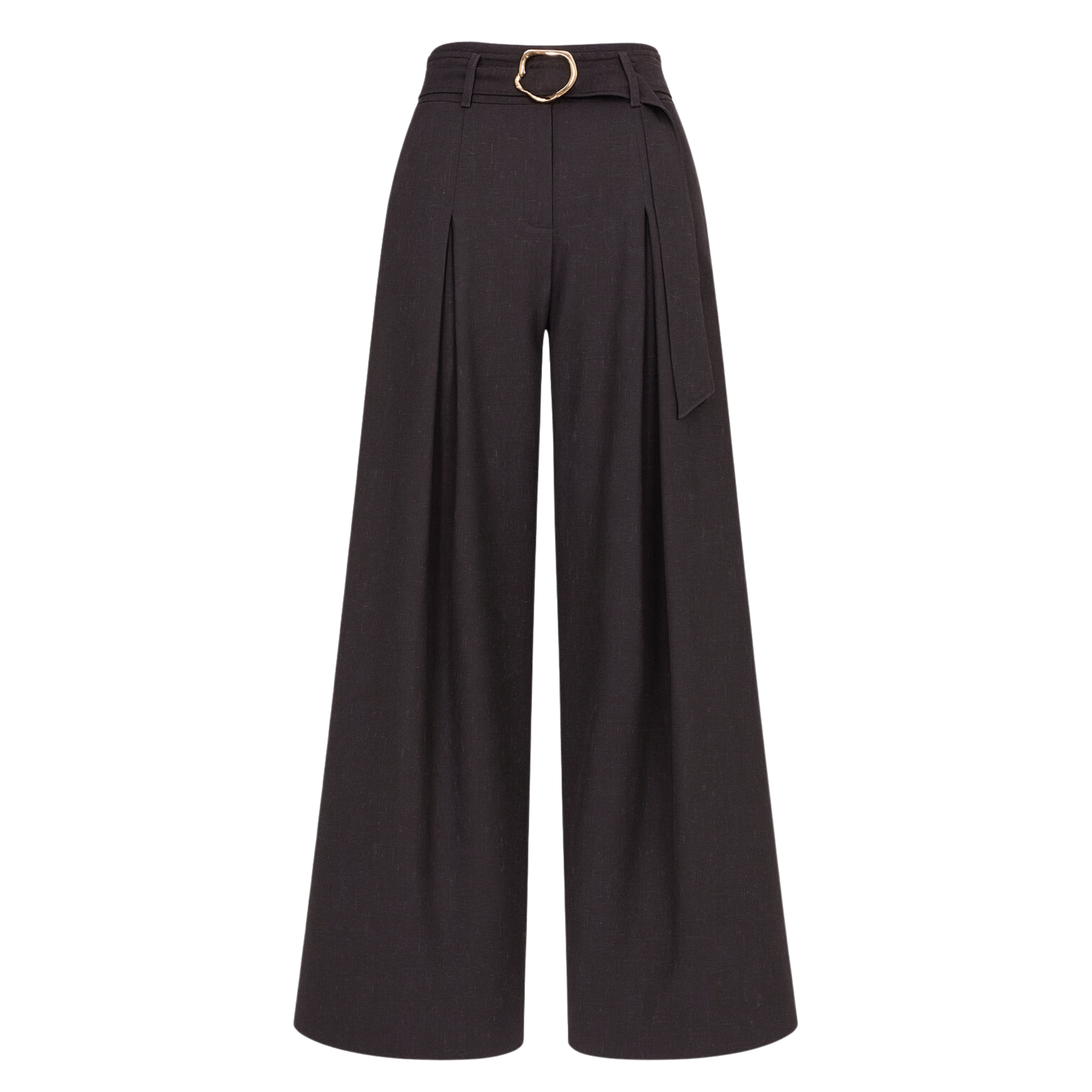 Pleated Trousers